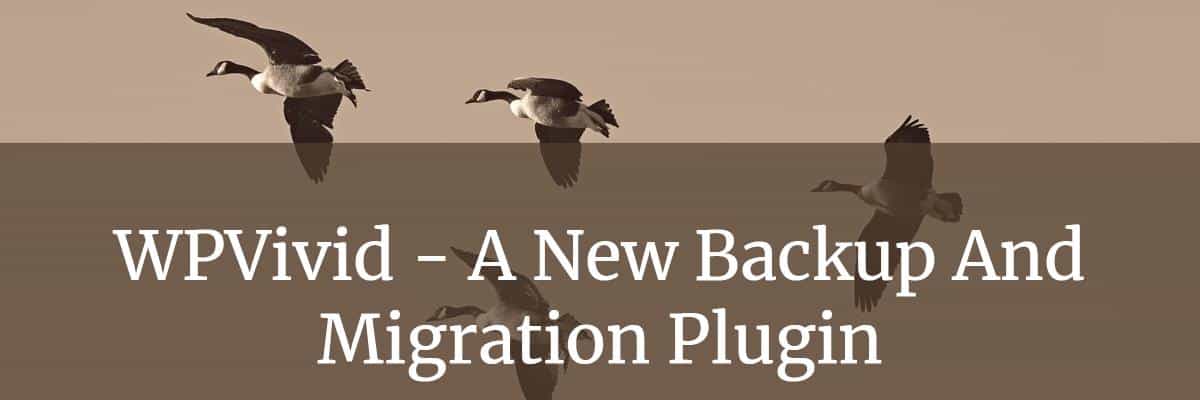 wpvivid backup and migration plugin