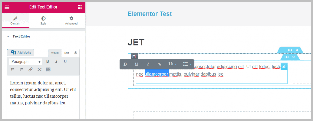 Elementor Text Widget