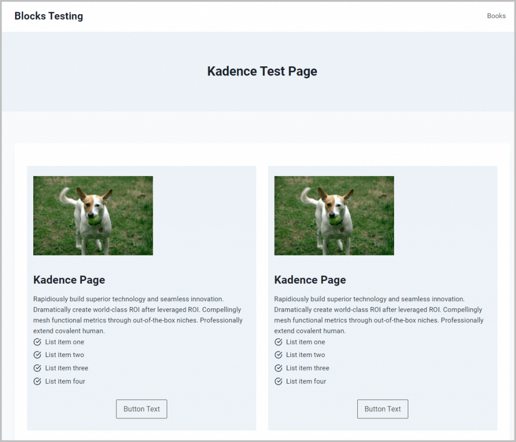 Kadence Test Home Page