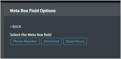 ability to select the meta box fields