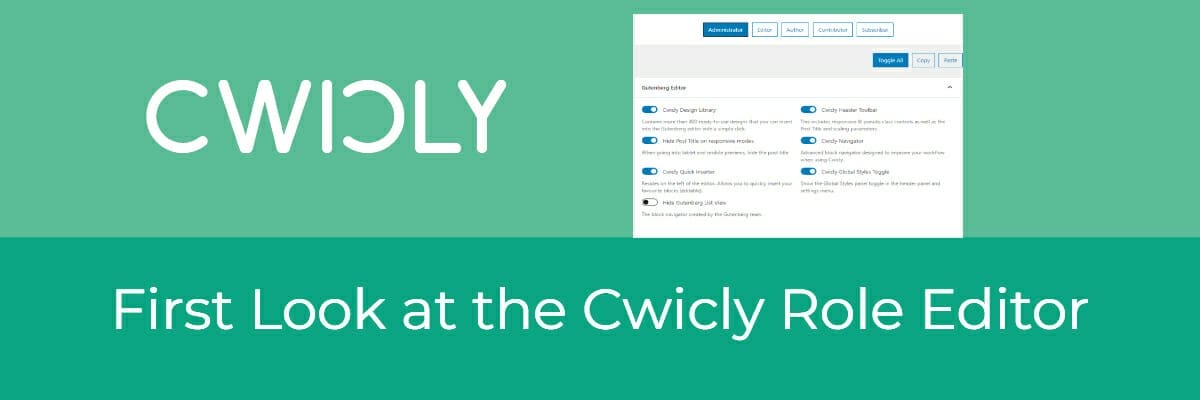 first look at the cwicly role editor